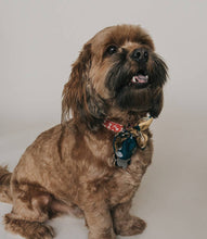 Load image into Gallery viewer, Pet Accessories - Ishivatva Dog Bow Tie