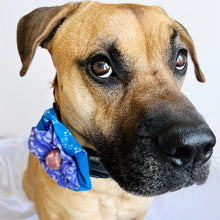 Load image into Gallery viewer, Pet Accessories - Ishivatva Dog Flower