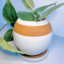Load image into Gallery viewer, Planter - Round Planter With Drainage Plate