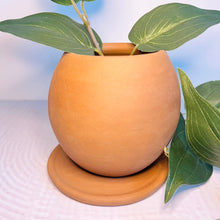 Load image into Gallery viewer, Planter - Round Planter With Drainage Plate