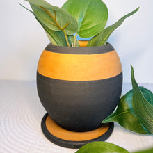Load image into Gallery viewer, Planter - Round Planter With Drainage Plate