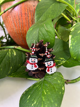 Load image into Gallery viewer, Frosty Earrings
