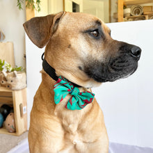 Load image into Gallery viewer, Pet Accessories - Ishivatva Dog Bow Tie
