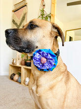 Load image into Gallery viewer, Pet Accessories - Ishivatva Dog Flower
