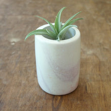 Load image into Gallery viewer, Home Accents - Natural Stone Cylinder Planters
